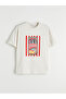 Lcw Vision Gray Printed Oversize 100% Cotton Women's T-Shirt - 4