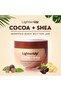 Plus Cocoa Shea Body Butter Jar 300 ml / 10 fl oz - 3