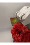 Xuping Jewelry Series Simple New Model Hoop Steel Earrings - 3