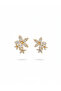 Earrings with Zirconia - 2
