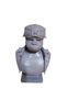 Bust 3e Russel Gorillaz - 5