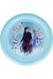 Frozen Plastic Plate 8.2"