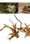 10-15cm New Natural Wooden Fish Tank Decorations Plant Stum Tree Trunk Driftwood Tree Aquarium Fish - 8