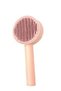 Pets Pet Grooming Brush - Assorted Colors Gray, Pink, Turquoise - 2