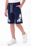 Palm Tree Printed Lace-Up Comfortable Fit Casual Sports Summer Boys' Shorts - 2