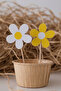 White 8-Piece Daisy Figured Toothpick Cake Decoration
