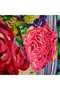 Women's Multicolor Ethnic Majolica Patterned Bohemian Dress - Layered Maxi Length with Tassel and Embroidery Detail - 6