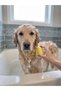 Pet Washing Brush with Bowl Cat Dog Massage Shampoo Bathing Apparatus with Bowl Yellow - 2
