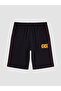 Quality Parts from Çelebi Store Boys' Licensed Printed Shorts