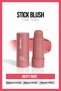 Stick Blush Tone Touch Dusty Rose 02 – Stick Blush