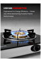 2-Burner Gas Stove OG3013GC - Toughened Glass Top, MS Coated Body, 5-Prong Support, 2-Year War - 4