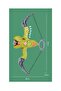 Dinosaur Bow and Arrow Archery Shooting Set,Softball,Manual Continuous,Safe,for Kids - 5