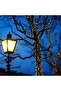 2-Pack 200LED 72FT Solar String Lights,Warm Light,Outdoor Indoor,8 Lighting Modes - 2