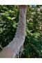 Lez lace gloves, bridal armbands, fingerless wedding gloves, size S-M (Upper arm circumference between 24-27cm) - 5