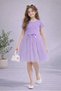Girls' Princess Short Sleeve Dress with Tulle