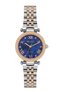Women's Wristwatch Fc122403433M.06640013 - 2