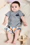 Dinosaur Embroidered Striped T-Shirt Shorts 2-Piece Set