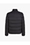 Men's Regular Fit Stand Collar Waterproof Quilted Long Sleeve Black Coat - 2