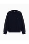 Men's Regular Fit Round Neck Eagle Logo Long Sleeve Navy Blue Sweater - 5