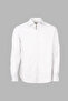 Men's Regular Fit Striped Long Sleeve Beige Shirt