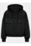 Women's Hooded Collar Zippered Long Sleeve Black Jacket - 3