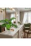 55cm Artificial Brazilwood Tree Faux Plant with White Pot for Indoor Office Garden Home Decor - 4