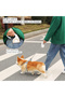 Retractable Dog Leash 5M Reflective Nylon Tangle-Free Durable Comfortable Handle White - 5