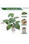 55cm Artificial Caladium Bicolor Tree Faux Plant with White Pot for Indoor Office Garden Home Decor - 8