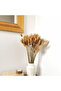 120PCS Bunny Tails Dried Flowers, Dried Rabbit Tail Grass Bouquet for Wedding Home Party Decor - 7