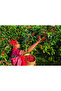 Ethiopia Bochesa Anaerobic G1 Core Coffee 250 g Specialty Coffee - 5