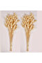 120PCS Bunny Tails Dried Flowers, Dried Rabbit Tail Grass Bouquet for Wedding Home Party Decor