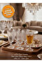 Lorenn 6-Piece Stylish Coffee and Soft Drink Presentation Glass with Stand - 2