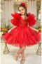 Buckle Fastening, Puffy Sequin Embroidery, Tulle Sleeves on the Front, Puffy Skirt, Layered Tulle, Princess Dress.
