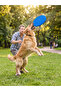 Dog Frisbee Training Toy 23 cm - Flying Disc - 4