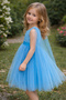 Special Occasion Skirt Dreamy Tulle Evening Dress Girl Child Dress - 2