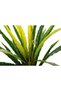 Feriga artificiala Asplenium osaka L verde - 6