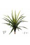 Feriga artificiala Asplenium osaka L verde