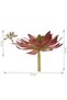 Planta artificiala suculenta model5 - 2