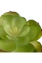 Planta artificiala suculenta model8 - 6