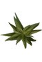 Planta artificiala suculenta model48 - 4