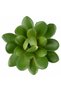 Planta artificiala suculenta model51 - 4