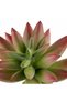 Planta artificiala suculenta model63 - 6
