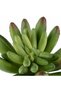 Planta artificiala suculenta model24 - 6