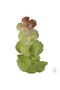 Planta artificiala suculenta model35