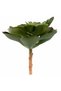 Planta artificiala suculenta model75 - 5