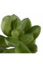 Planta artificiala suculenta model84 - 6
