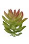 Planta artificiala suculenta model64 - 6