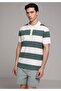 Regular Fit Polo Collar Striped Men's Green Short Sleeve T-Shirt