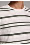 Regular Fit Round Neck Striped Men's White Short Sleeve T-Shirt - 4