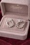 Snake Line Stone Hoop Earrings (Silver Color) - 4